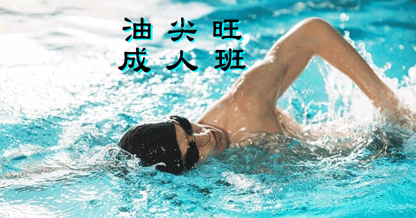成人游泳班--油尖旺區，在九龍公園游泳池舉行
