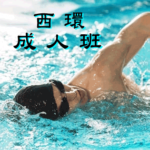 成人游泳班--西環區，在西環游泳池舉行